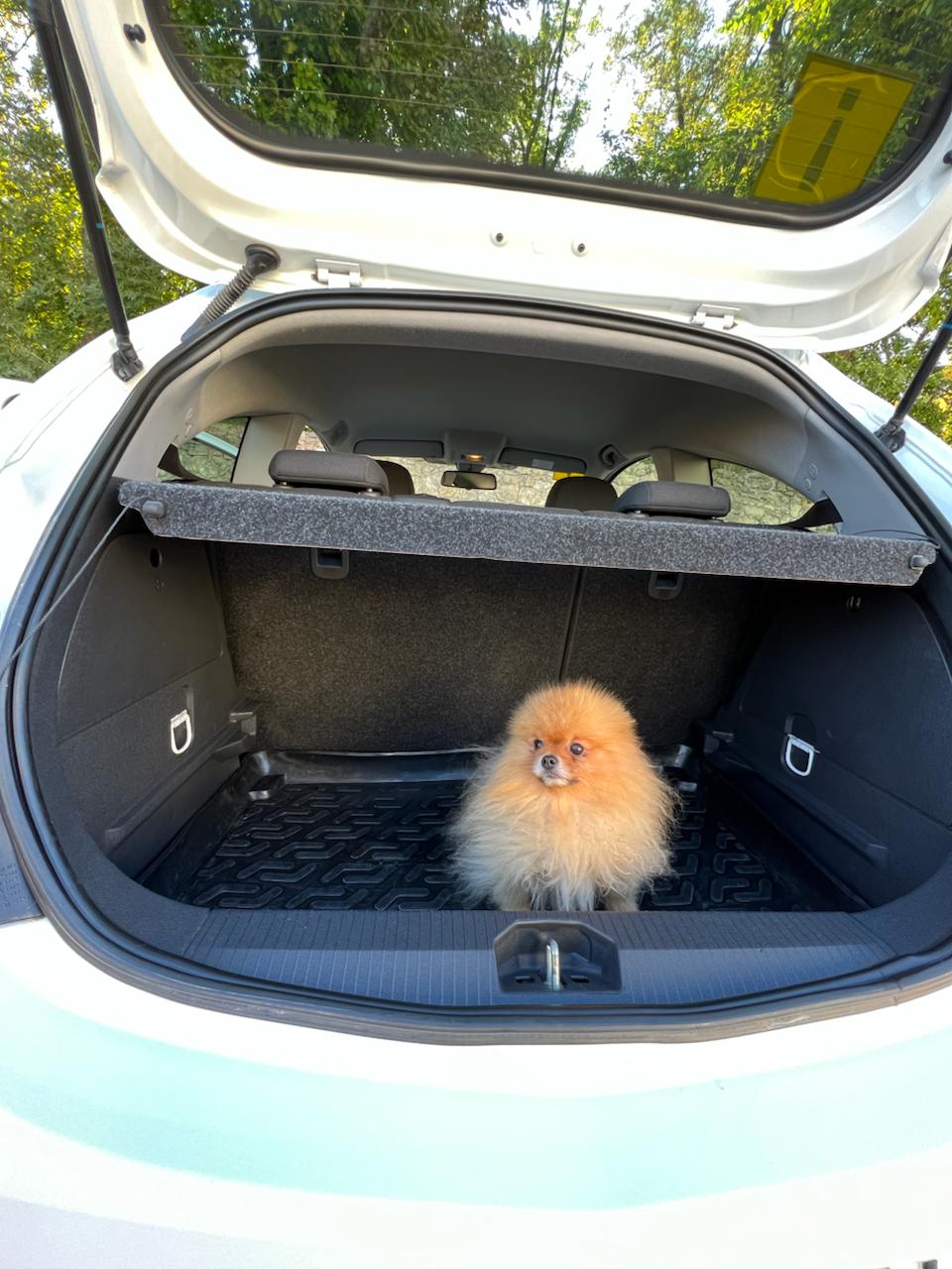 📎Кому НЕ нужен Телеграм канал

🔹 В 2021 году мы с мужем...